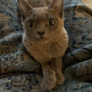 Meet your Posher, Liz